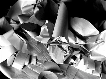 Black and white close-up of shredded paper strips