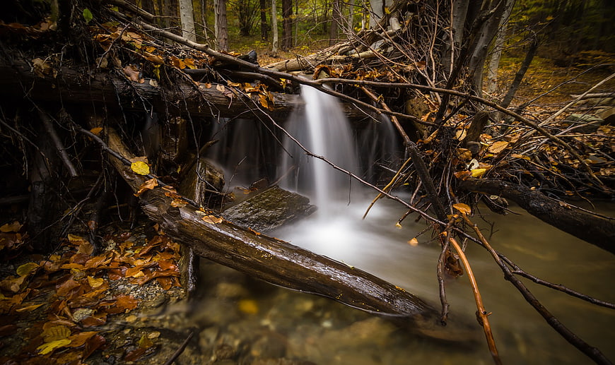 Autumn forest stream with long exposure waterfall and fallen leaves