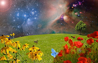 Fantasy meadow with flowers and starry galaxy sky