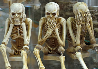 Three Skeletons See No Evil Hear No Evil Speak No Evil Halloween Decor