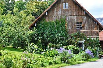 Rustic Wooden Barn with Lush Garden and Solar Panels