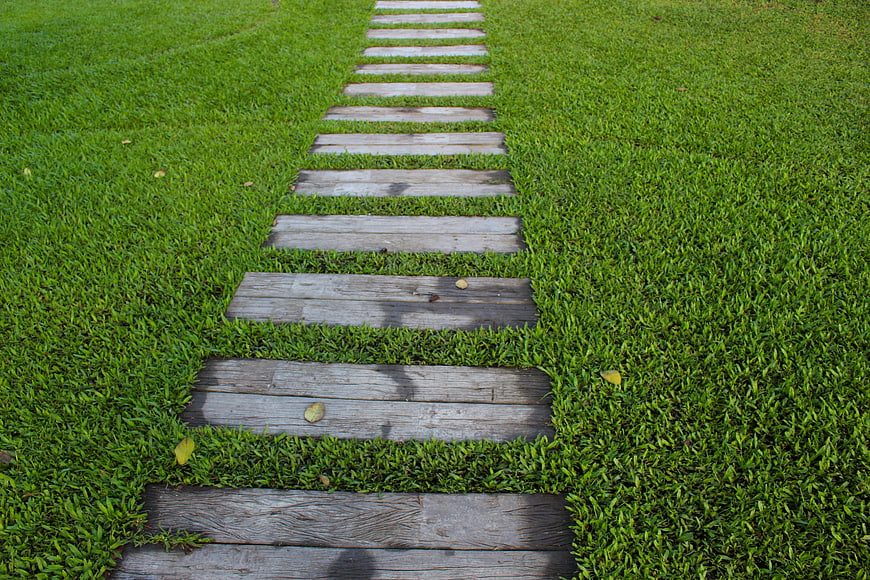 Wooden Stepping Stones Pathway in Green Grass Garden
