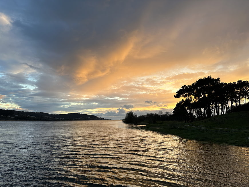 Dramatic sunset over lake with silhouetted trees and golden clouds