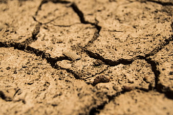 Close-up of cracked dry earth soil texture