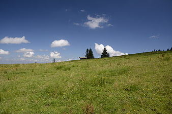 Serene Green Meadow Landscape with Blue Sky and Clouds