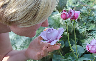Woman smelling purple rose in garden