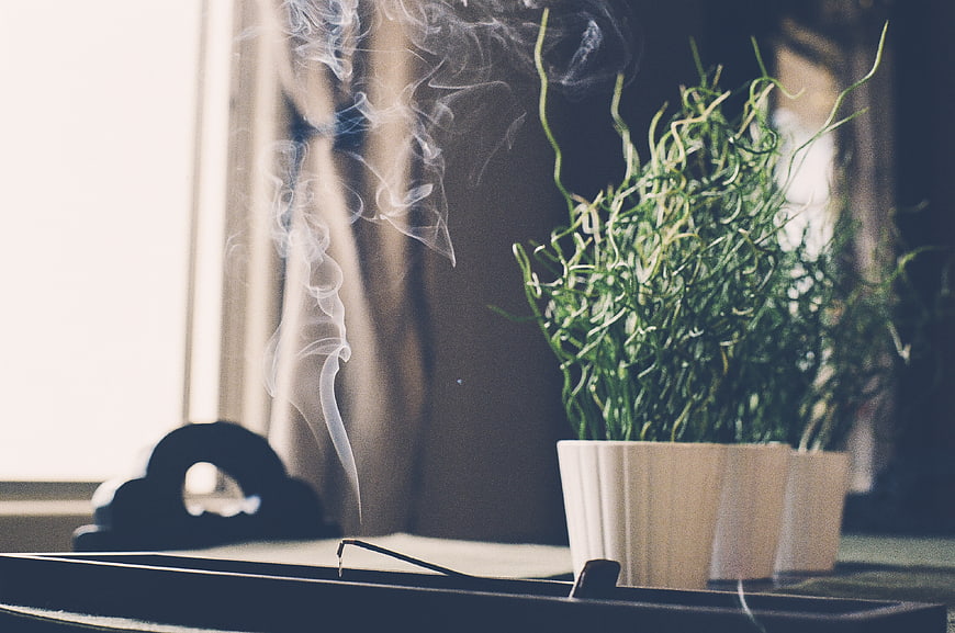 Burning incense stick with smoke and green plant