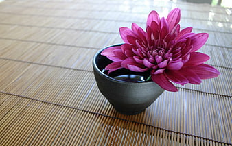 Pink chrysanthemum in black ceramic bowl on bamboo mat