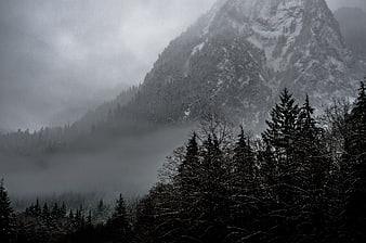 Misty Snow-Covered Mountain Peak with Dark Forest