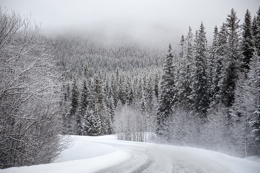 Snowy Forest Road Winding Through Winter Landscape
