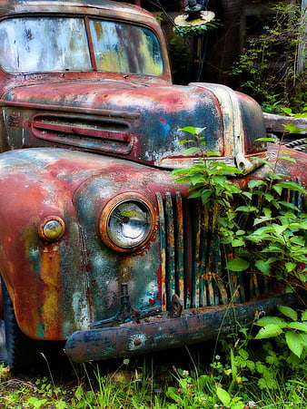 Rusty vintage Ford truck overgrown with green plants