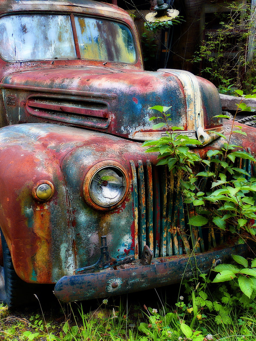 Rusty vintage Ford truck overgrown with green plants