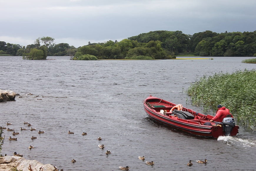 Red motorboat with person navigating lake near ducks