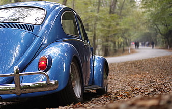 Vintage Blue Volkswagen Beetle in Autumn Forest