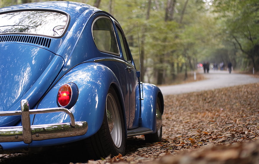 Vintage Blue Volkswagen Beetle in Autumn Forest