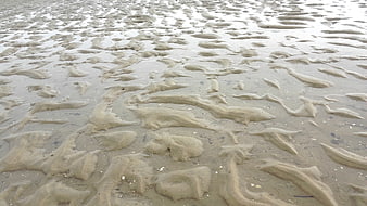 Wet Sand Texture with Water Ripples on Beach