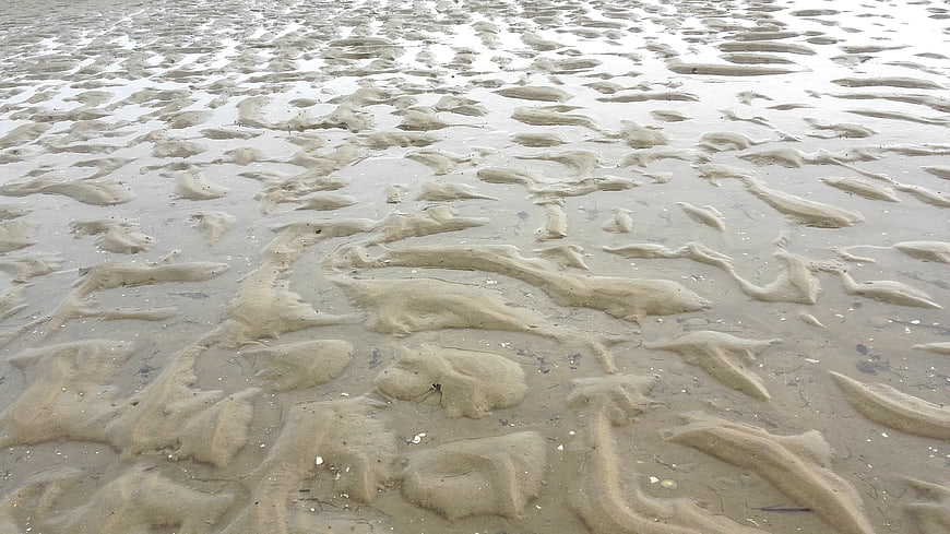 Wet Sand Texture with Water Ripples on Beach