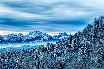 Snowy Alpine Forest And Mountain Range Under Dramatic Blue Sky