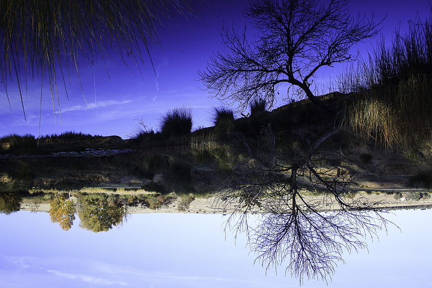 Upside down autumn landscape with tree reflection in water