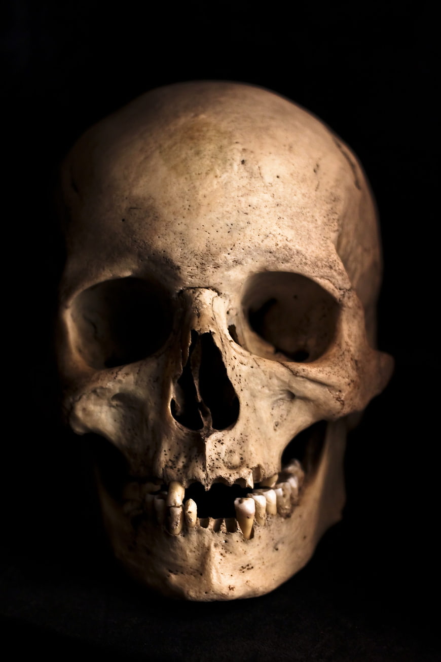 Human Skull Close-Up on Black Background