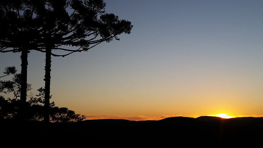 Silhouette of Pine Trees Against Golden Sunset Over Mountain Ranges