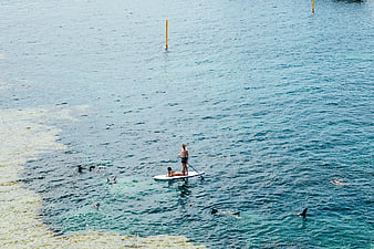 Aerial View of People Paddleboarding and Swimming in Blue Ocean