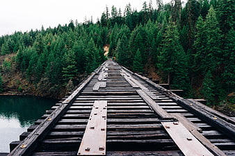 Old Wooden Railway Bridge in Forest