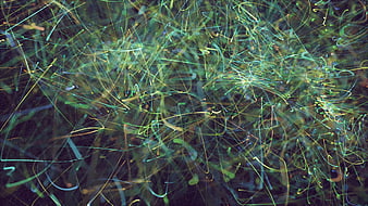 Abstract Digital Background with Glowing Neon Lines
