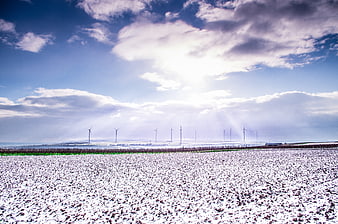 Snowy field with wind turbines and dramatic sky