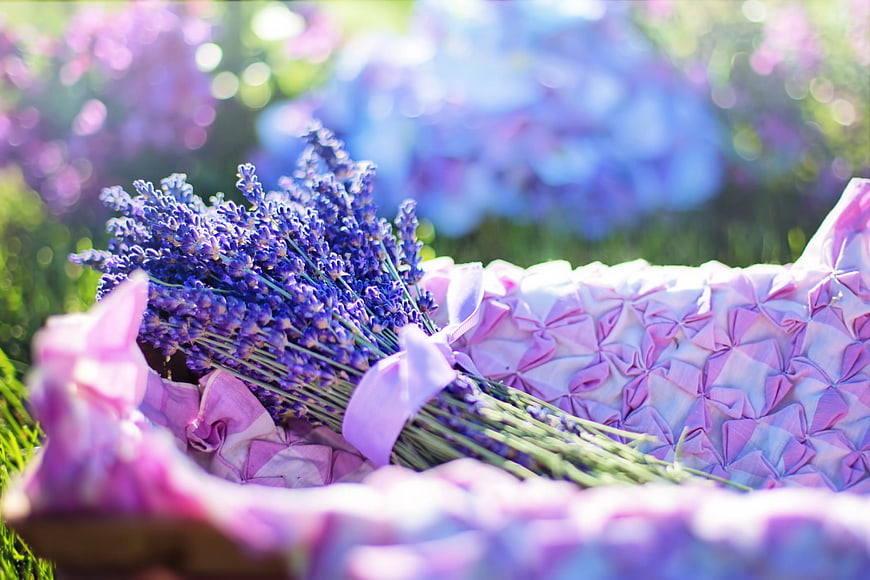 Fresh Lavender Bouquet in Pink Origami Basket