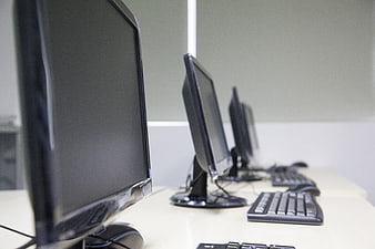 Row of Computer Monitors in a Modern Classroom or Office