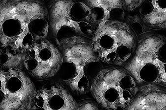 Black and white close-up of stacked human skulls