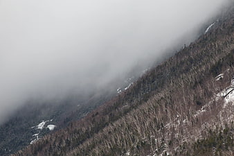 Misty Mountain Slope with Bare Trees and Snow Patches