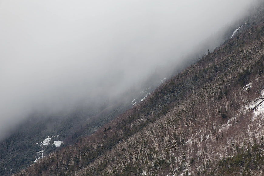 Misty Mountain Slope with Bare Trees and Snow Patches