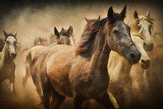 Digital painting of wild horses running through dust