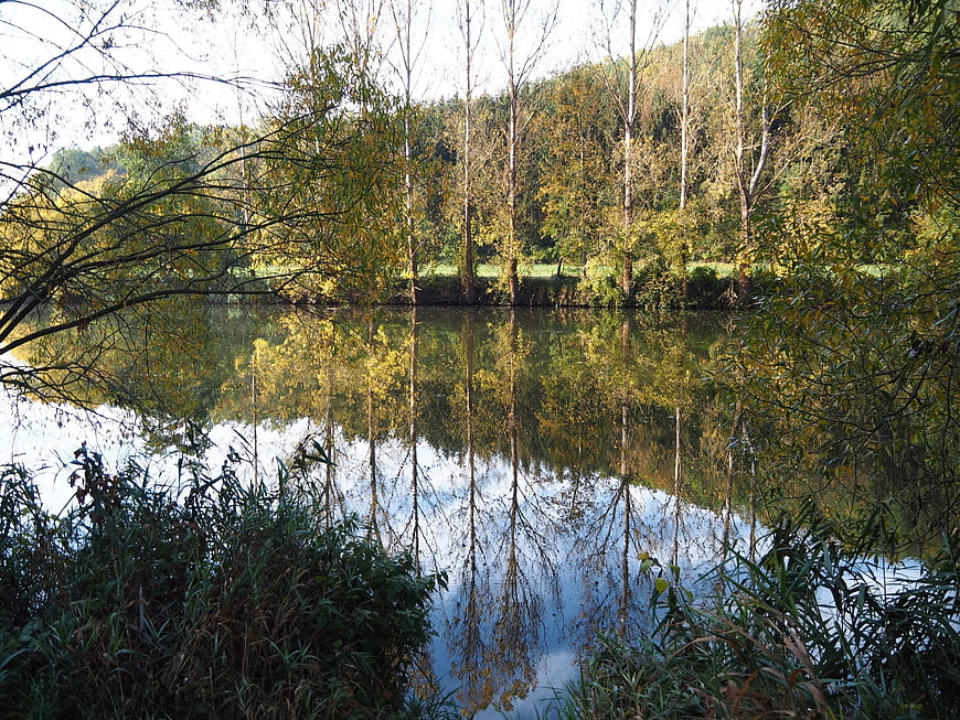 Serene Autumn Lake with Tree Reflections in Forest