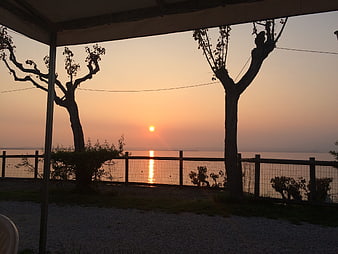 Sunset over Lake Garda with Silhouetted Trees