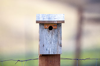 Rustic Wooden Birdhouse on Fence Post in Nature