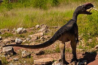 Life-size dinosaur model standing in a rocky grassy field