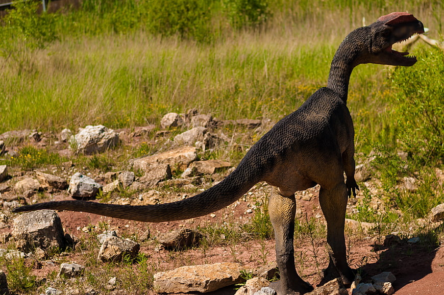 Life-size dinosaur model standing in a rocky grassy field