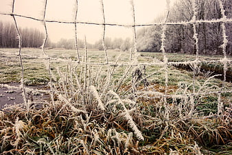 Frost-covered wire fence in a rural winter landscape