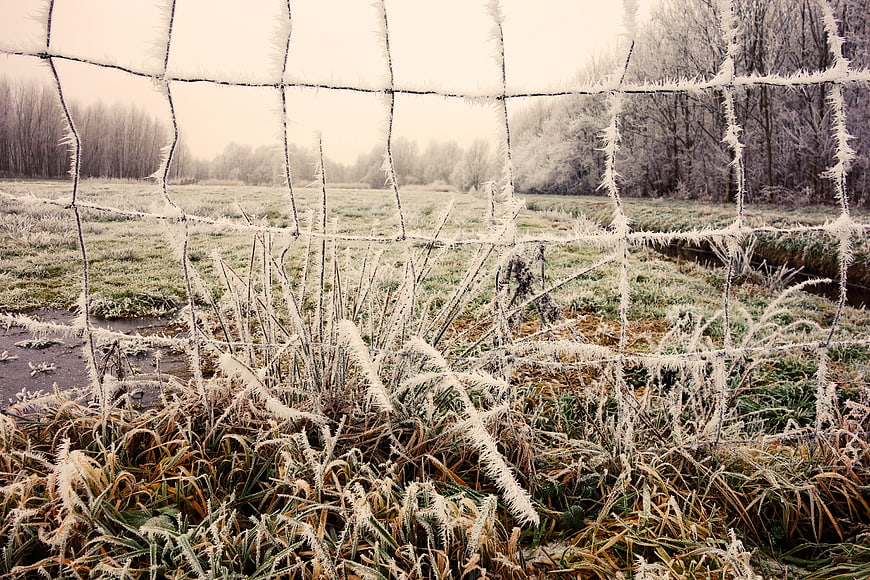 Frost-covered wire fence in a rural winter landscape