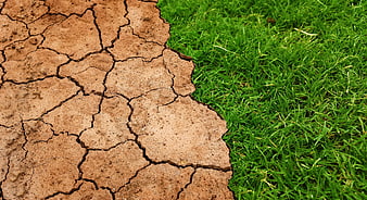 Cracked Dry Soil Versus Lush Green Grass