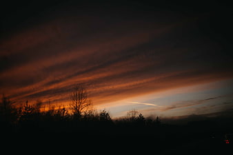 Dramatic orange sunset sky with silhouetted trees