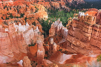 Bryce Canyon Hoodoos and Red Rock Formations