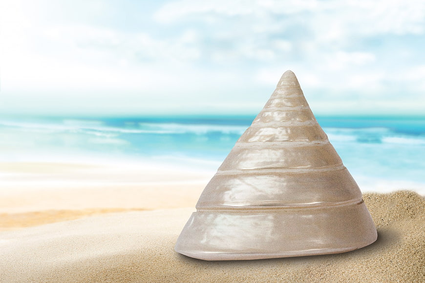 Close-up of a spiral sea shell on sandy beach with ocean background