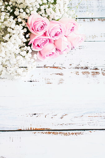 Pink Roses and Baby's Breath on White Rustic Wood