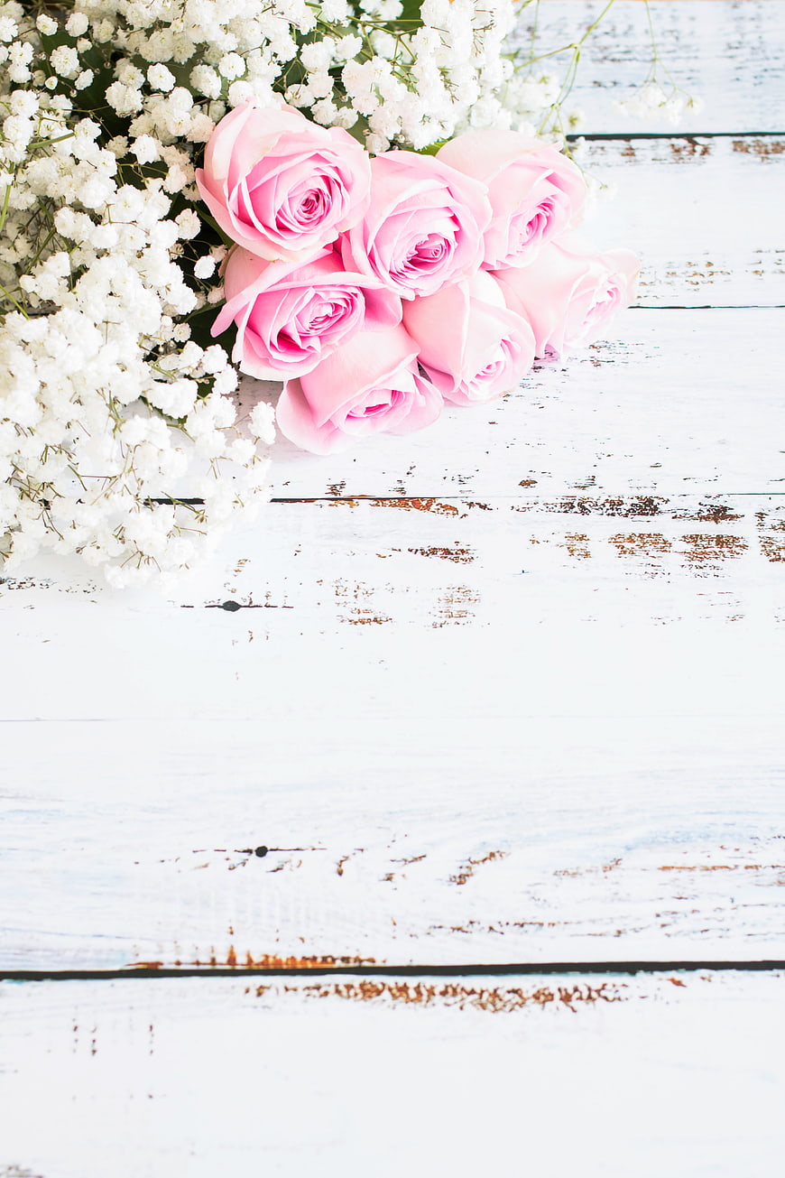 Pink Roses and Baby's Breath on White Rustic Wood