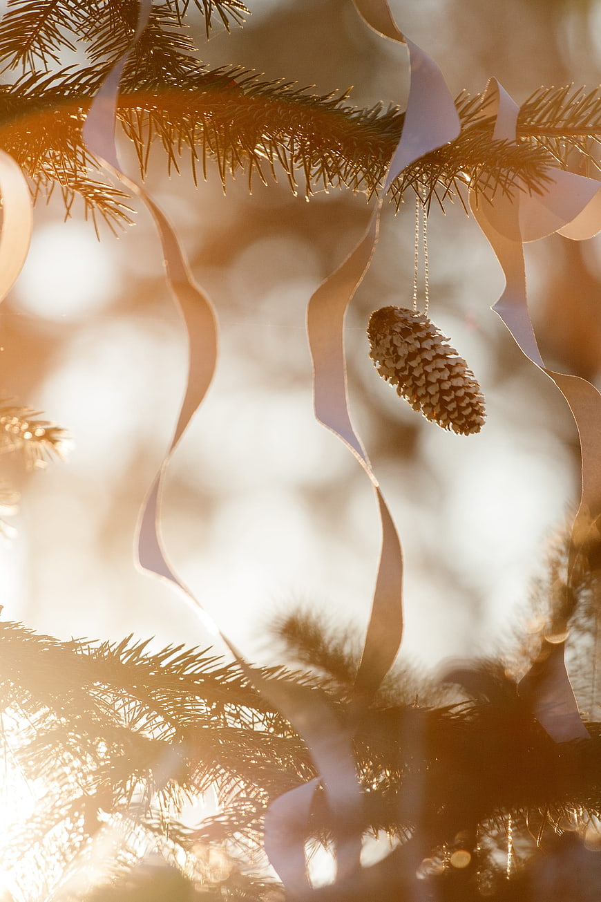 Golden Pine Cone Christmas Ornament Hanging on Evergreen Branch