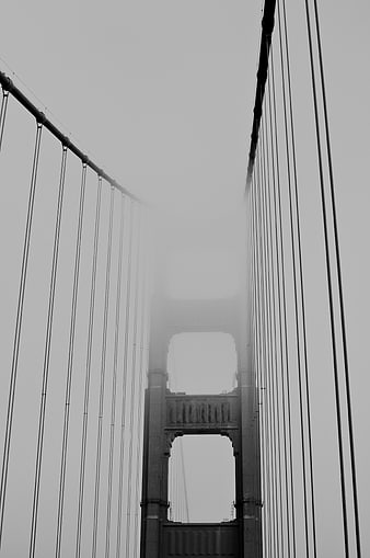 Golden Gate Bridge in Fog Black and White
